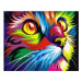 mamido  Maľovanie podľa čísel Dúhová mačka 40x50 cm