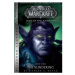 Blizzard Entertainment World of WarCraft: War of The Ancients 3 - The Sundering (Blizzard Legend