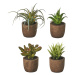 Umelé rastliny v súprave 4 ks (výška  10 cm) Cactus – Casa Selección