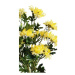 Umelá chryzantéma drobnokvetá, v. 75 cm, sada 2 ks