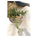 Keramický závesný a nástenný  kvetináč ø 25,5 cm – Esschert Design