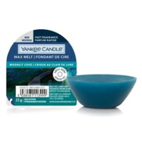 YANKEE CANDLE Moonlit Cove 22 g