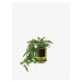 Samozavlažovací kvetináč Balcony, v. 19 cm, Ø16 cm, číra/olivovo zelená - LSA international