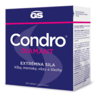 GS Condro diamant 120 tabliet