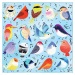 Mudpuppy Puzzle Spievajúce vtáky 500 dielikov