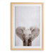 Nástenný obraz v ráme Surdic Elephant, 30 x 40 cm