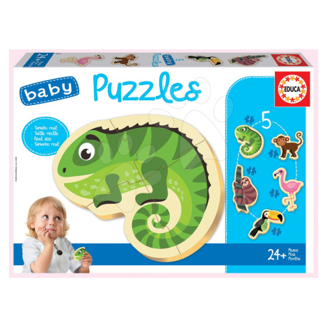 Puzzle pre najmenších Baby 5 Educa - Tropické exotické zvieratká od 24 mes