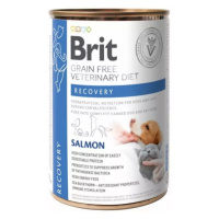 Brit Veterinary Diets GF cat + dog Recovery konzerva pre psy a mačky 400g