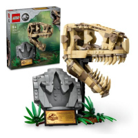 LEGO® Jurassic World™ 76964 Dinosaurie fosílie: Lebka T-Rexa