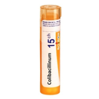 BOIRON Colibacillinum CH15 4 g