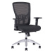 Ergonomická kancelárska stolička OfficePro Halia Mesh Farba: sivá, Opierka hlavy: s opierkou