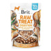 Brit RAW TREAT Digestion Freeze-dried treat and topper Chicken 40g