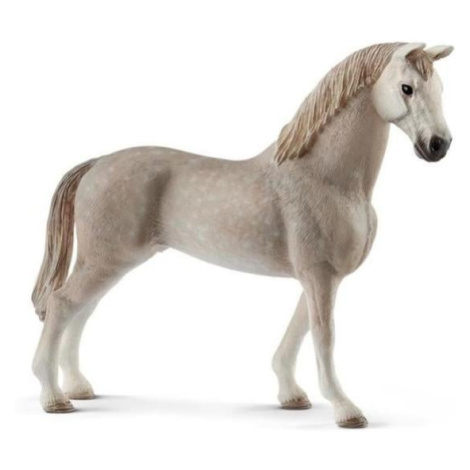 Schleich Holštajnský valach