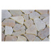 Garth Mozaika riečny kameň krémová obklady 1m2