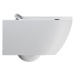 GSI GSI, PURA závesná WC misa, Swirlflush, 55x36 cm, biela dual-mat, 881509