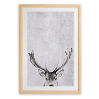 Nástenný obraz v ráme Surdic Deer, 35 x 45 cm