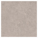 Dlažba Pastorelli Biophilic grey 60x60 cm mat P009455