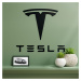 Drevený znak auta na stenu - Tesla , Čierna