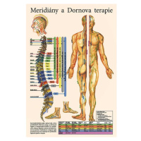 Vydavateľstvo Poznání Anatomický plagát - Meridiány a Dornova terapia