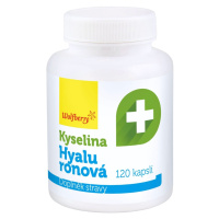 WOLFBERRY Kyselina hyalurónová 120 kapsúl