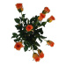 Umelá kvetina púčik Ruža oranžová, 64 cm, 9 ks​