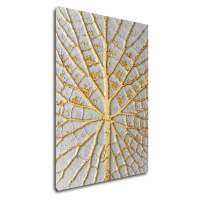 Impresi Obraz Zlatý list na bielom pozadí - 50 x 70 cm