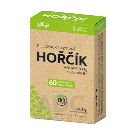 VITAR HORČÍK AQUAMIN Mg + vitamín B6