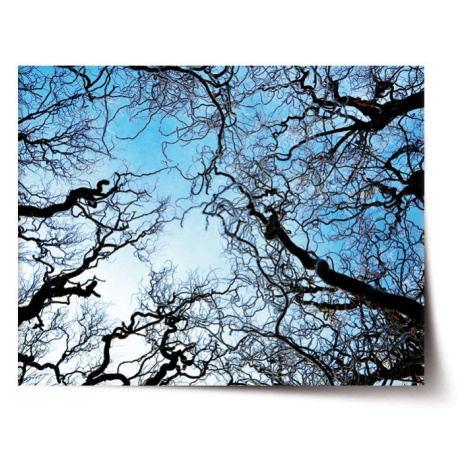 Plagát Holé konáre - 60x40 cm