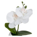 Umelé rastliny v súprave 3 ks (výška 15 cm) Orchid – Casa Selección