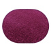 Kusový koberec Eton fialový ovál - 200x300 cm Vopi koberce