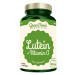 GREENFOOD NUTRITION Lutein+Vitamin A 90 kapsúl