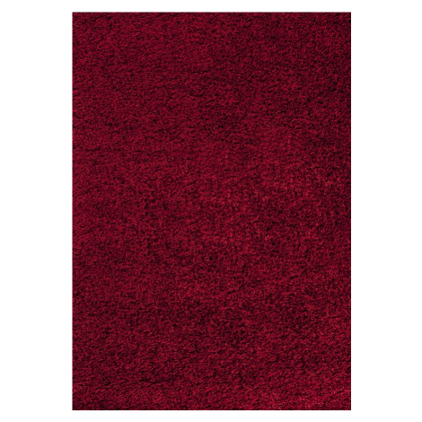 Kusový koberec Dream Shaggy 4000 Red - 65x130 cm Ayyildiz koberce