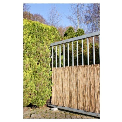 Balkónová zástena z prútia v prírodnej farbe 300x100 cm – Garden Pleasure
