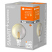 LEDVANCE SMART+ WiFi Filament Globe 44 E27 6 W 825