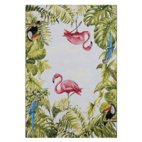 Kusový koberec Flair 105616 Tropical Birds Multicolored – na ven i na doma - 240x340 cm Hanse Ho