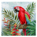 Signes Grimalt  Loro Bird Box  Obrazy, plátna Červená