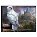 3D puzzle Harry Potter-Hedwig 500 ks