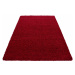 Kusový koberec Dream Shaggy 4000 Red Rozmery koberca: 160x230