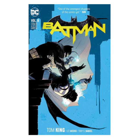 DC Comics Batman 8: Cold Days