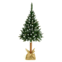 NABBI Christee 5 vianočný stromček na pni 220 cm zelená / biela