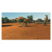 Zoo Tycoon Ultimate Animal Collection (Xbox One)