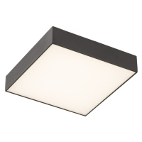 Sapho Sapho, RISA stropné LED svietidlo 10W, 230V, 28x28cm, čierna, LS030C