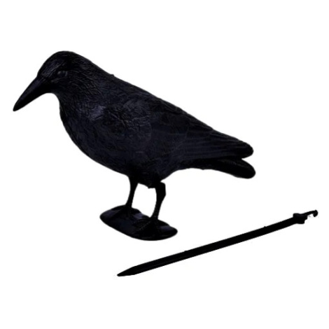 Plašič vtákov Havran čierny, 38 cm