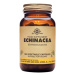 SOLGAR Echinacea 100 tabliet