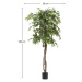 Umelý fikus (výška 180 cm) Ficus – Kave Home