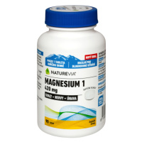 NATUREVIA Magnesium 1 - 420 mg 90 tabliet