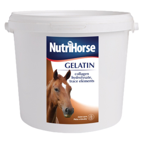 NUTRI HORSE Gelatín pre kone 3 kg