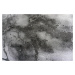 Kusový koberec Elite 23270 Grey Rozmery kobercov: 80x150