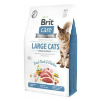Brit Care Cat GF Large cats Power&Vitality 2kg zľava