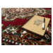 Kusový koberec TEHERAN T-102 red kruh - 190x190 (průměr) kruh cm Alfa Carpets